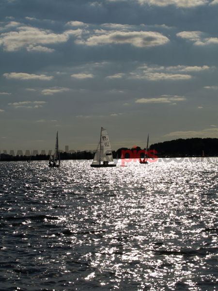 E5151742.jpg