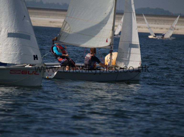 P9176782p.jpg