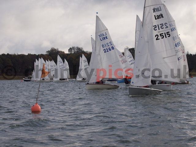 Lark Winters 2010